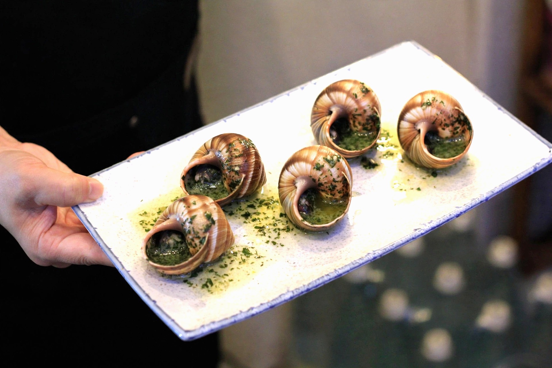Escargot